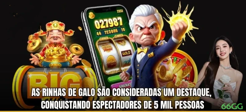 Suporte VIP 66gg - atendimento prioritário